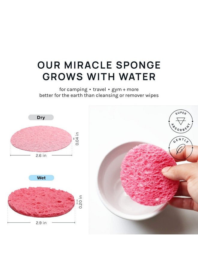 AOA STUDIO - 50-Count Compressed Facial Sponges 100% Natural Cosmetic Spa Sponges For Facial Cleansing, Exfoliating Mask, Remove For Makeup, Dead Skin, And Dirt (50 Counts, Pink) - Image 1