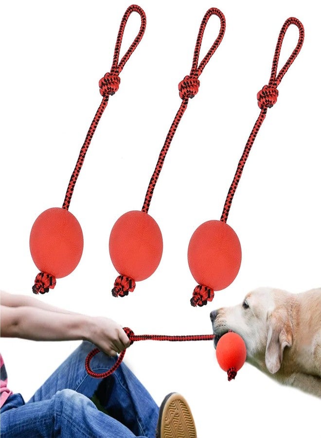 Buildcon 3 Pcs Durable Dog Ball with Rope - Interactive Dog Toys for Large Dogs and Puppies, Tough Dog Rope Toy for Fetch, Tug of War and Teeth Cleaning - Image 1