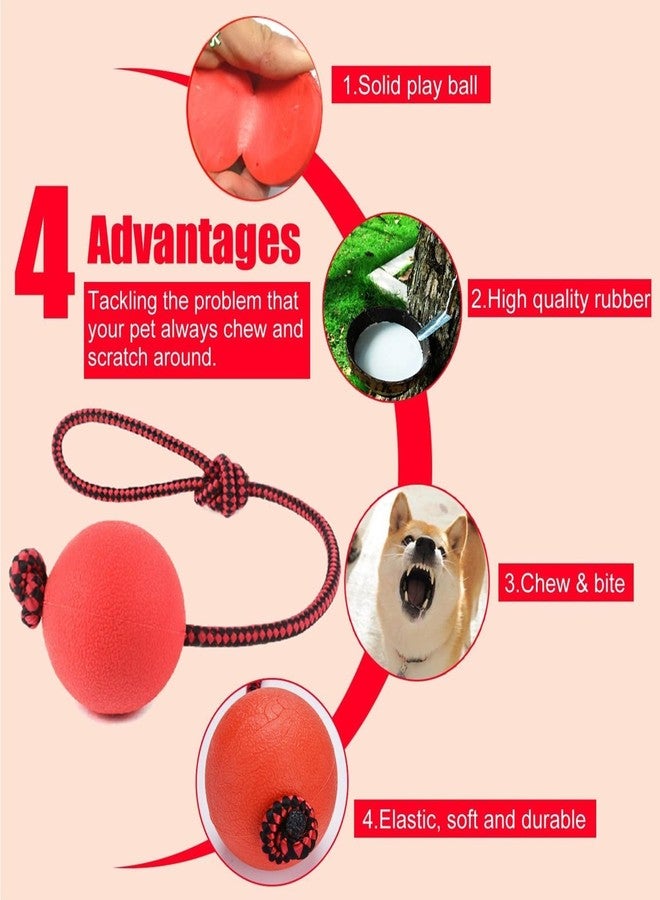 Buildcon 3 Pcs Durable Dog Ball with Rope - Interactive Dog Toys for Large Dogs and Puppies, Tough Dog Rope Toy for Fetch, Tug of War and Teeth Cleaning - Image 3