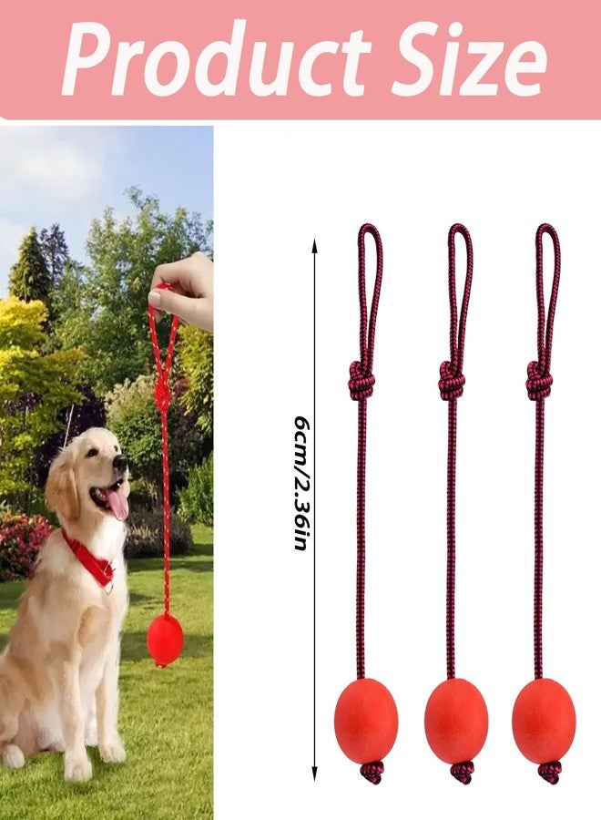 Buildcon 3 Pcs Durable Dog Ball with Rope - Interactive Dog Toys for Large Dogs and Puppies, Tough Dog Rope Toy for Fetch, Tug of War and Teeth Cleaning - Image 2
