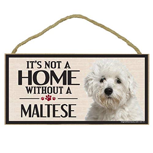 Imagine This Wood Sign for Maltese Dog Breeds - Image 1