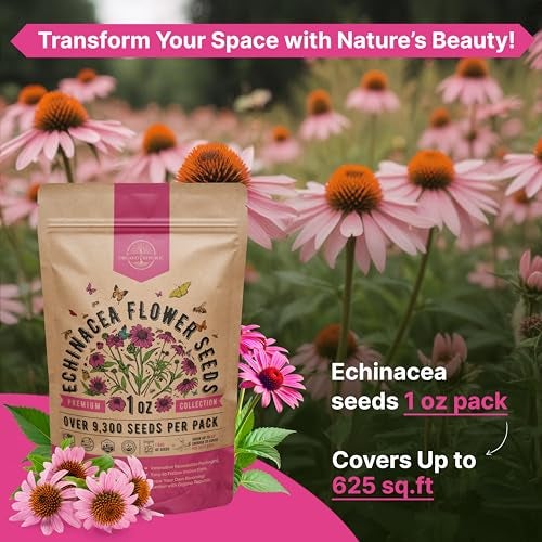 Organo Republic Echinacea Seeds Pack 1 oz - Over 9,300 Non-GMO Heirloom Echinacea Seeds for Planting, Perennial Flowers in Individual Packet, Coneflower for Planting Indoor & Outdoor Garden - Image 4