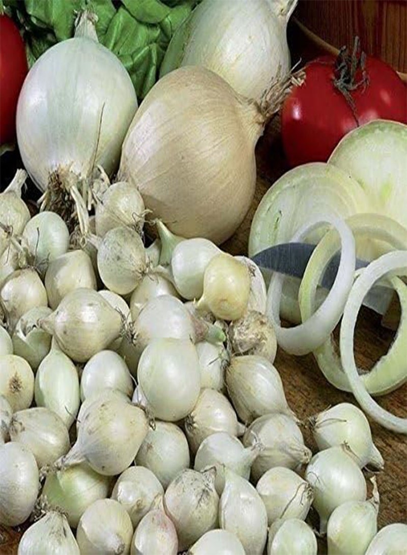 GGOOT Onion Sets Red,Yellow,White or Mix 40-70 seeds) Garden Vegetable- Choose a color(Yellow)