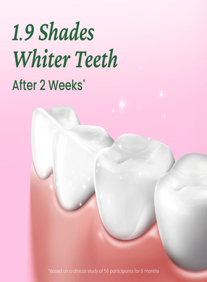 EUTHYMOL Whitening Toothpaste Travel Set (1.4fl oz*3, Pack of 3 - Stocking Stuffers. Stain Removal in 2 Weeks, Long-Lasting Freshness for Sensitive Gum & Teeth. Bad Breath, Cavity Prevention. - Image 3