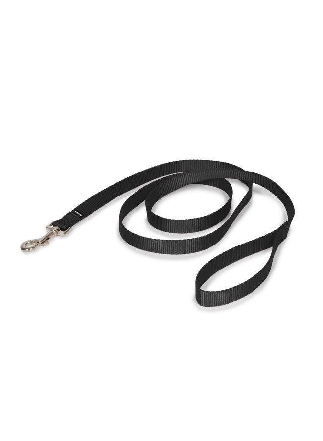 بيت سيف مقود الكلاب من النايلون من PetSafe - مقود قوي ومتين بتصميم تقليدي مع مشبك سهل الاستخدام للكلاب الصغيرة والمتوسطة والكبيرة - 3/4 بوصة × 6 أقدام، لون أسود - Image 1