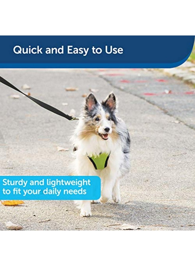 بيت سيف مقود الكلاب من النايلون من PetSafe - مقود قوي ومتين بتصميم تقليدي مع مشبك سهل الاستخدام للكلاب الصغيرة والمتوسطة والكبيرة - 3/4 بوصة × 6 أقدام، لون أسود - Image 3