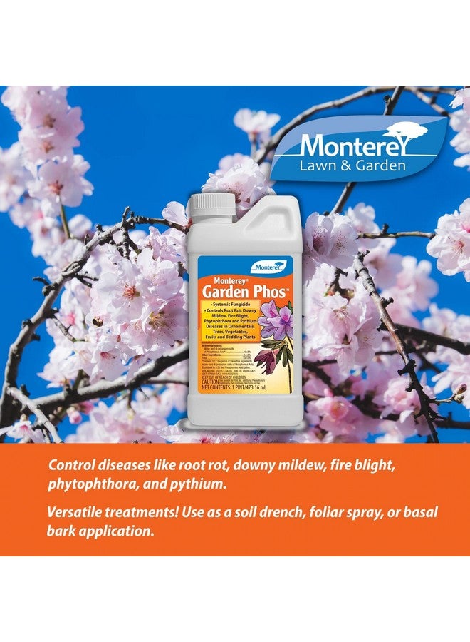 Monterey Nlg3304, 1 Pint Garden Phos, Brown/A - Image 2