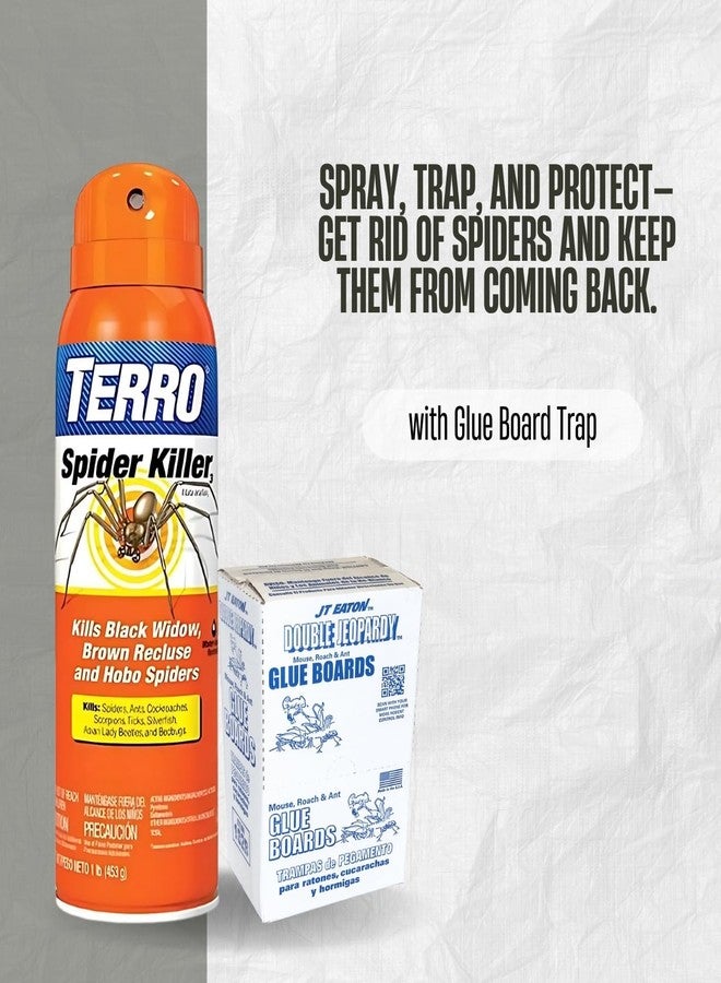 GROVE TERRO Home Pest Control Kit - Spider & Ant Protection for Indoor Use - Image 4