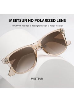 Polarized Sunglasses For Women Men Classic Retro Sun Glasses For Driving Uv400 (3 Pack) Black Brown Gradient - pzsku/ZE191CF76C57C8761B863Z/45/_/1718184913/b0985cda-8570-4d14-baee-6769ab1d1934