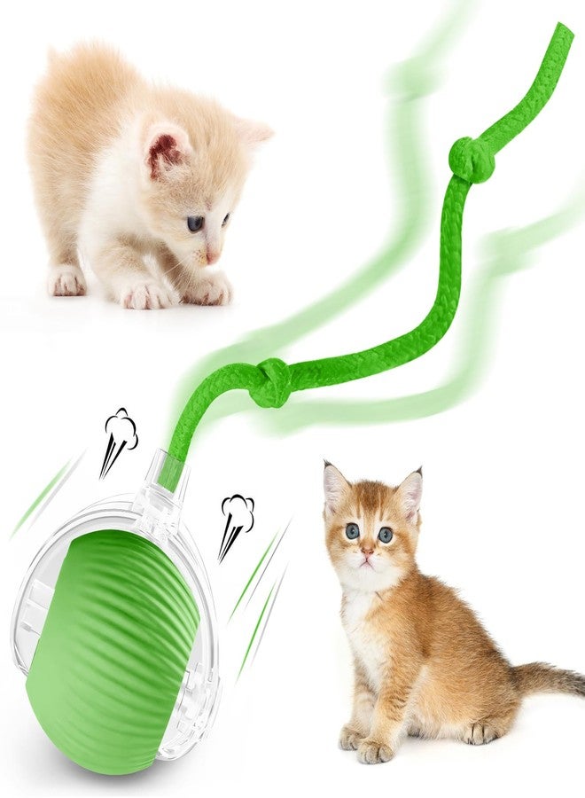 2FY2SW luseyfj Interactive Cat Ball Toys for Indoor Cats, Peppy Pet Ball, 2025 Upgraded Automatic Kitten Toy for Bored Indoor Adult Cat, 360°Smart Rolling Toy (Green) - Image 1