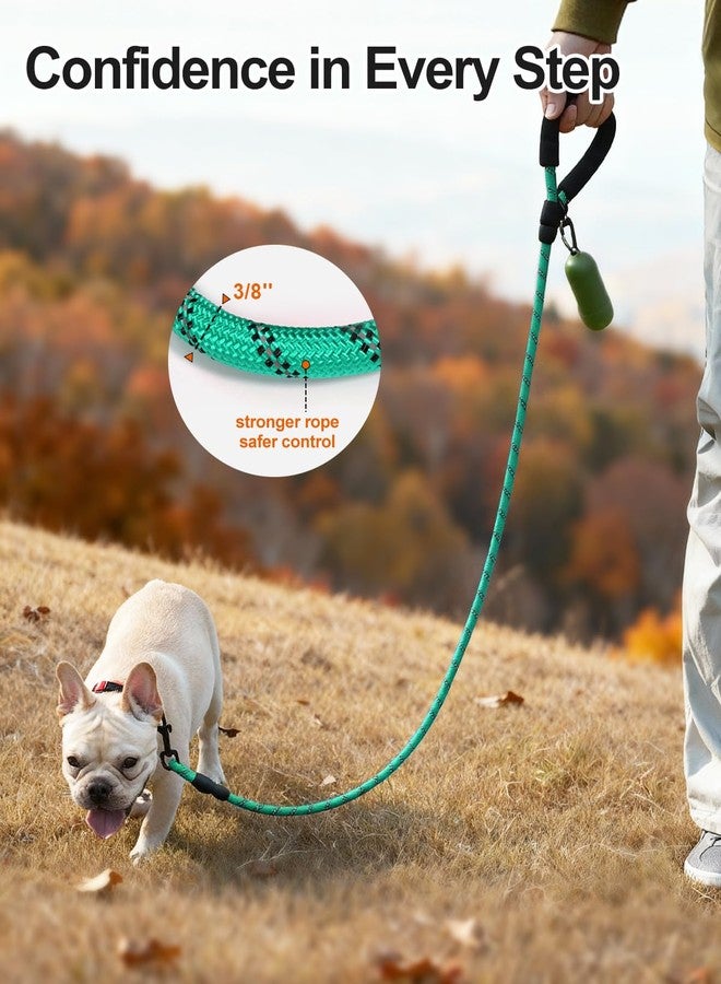 Joytale Dog Leash for Small Dogs, Heavy Duty Nylon Leashes with Comfortable Padded Handle and Highly Reflective Threads, Ideal for Walking and Training, Teal, 6'×3/8'' - Image 2