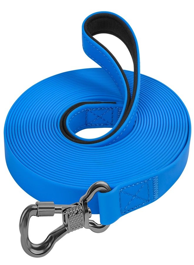 XiaZ Waterproof Long Dog Leash, Recall Training Long Line Lead for Large Medium Small Dogs Outside Walking, Playing, Camping, or Yard (10FT,Blue) - Image 1