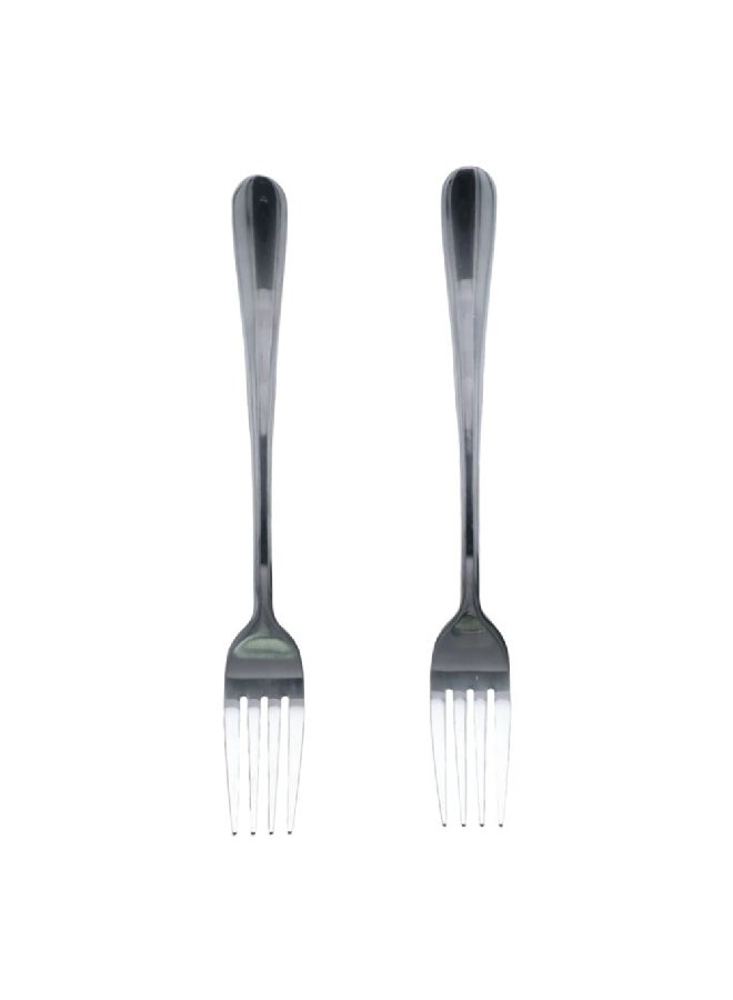 أميفا أستون طقم شوك طعام عالي الجودة مصنوع من الفولاذ المقاوم للصدأ قطعتين فضي 3.30 × 26.92 × 5.33 سم 1410X1VDXCAF2 - Image 2