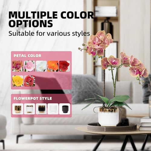CXGS Orchids Artificial Flowers Real Touch Fake Flowers in Ceramic Pot 20" Purple Dapple Faux Orchid Plant Lifelike Silk Phalaenopsis for Centerpiece Hotel Home Indoor Decor - Image 3