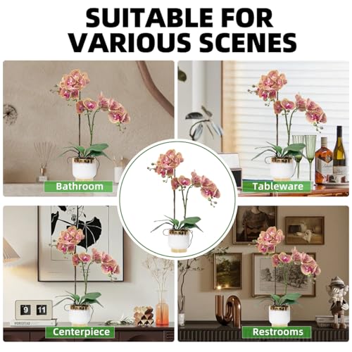 CXGS Orchids Artificial Flowers Real Touch Fake Flowers in Ceramic Pot 20" Purple Dapple Faux Orchid Plant Lifelike Silk Phalaenopsis for Centerpiece Hotel Home Indoor Decor - Image 5