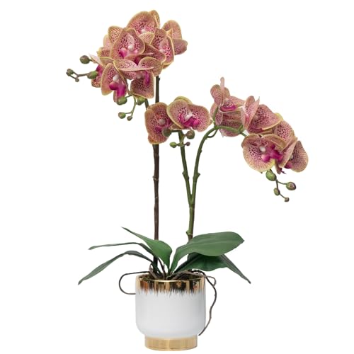 CXGS Orchids Artificial Flowers Real Touch Fake Flowers in Ceramic Pot 20" Purple Dapple Faux Orchid Plant Lifelike Silk Phalaenopsis for Centerpiece Hotel Home Indoor Decor - Image 1