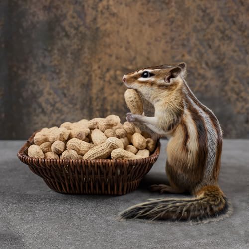 Naturalee Peanuts, Plain In Shell 2 lbs - Raw, Unsalted - Natural Healthy Snack, Squirrel or Wildlife Feed - Image 4