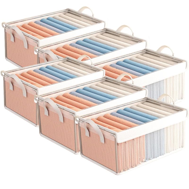 PRIME PICK صندوق تخزين بسحاب من القماش - مجموعة 6 من منظمات الملابس PVC - منظم خزانة للتخزين - صندوق قابل للطي وقابل للغسل مع غطاء وإطار معدني ومقابض - مثالي للخزانة أو الدرج. - Image 1