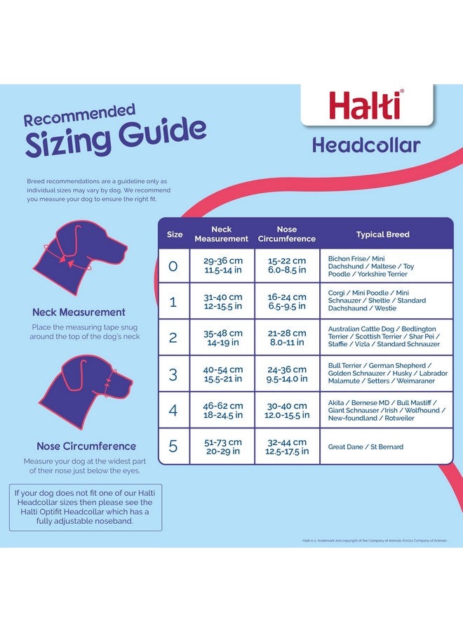 Company of Animals HALTI Headcollar - To Stop Your Dog Pulling on the Leash. Adjustable, Reflective and Lightweight, with Padded Nose Band. Dog Training Anti-Pull Collar for Medium Dogs (Size 3, Red) - Image 3