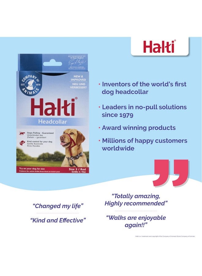 Company of Animals HALTI Headcollar - To Stop Your Dog Pulling on the Leash. Adjustable, Reflective and Lightweight, with Padded Nose Band. Dog Training Anti-Pull Collar for Medium Dogs (Size 3, Red) - Image 4