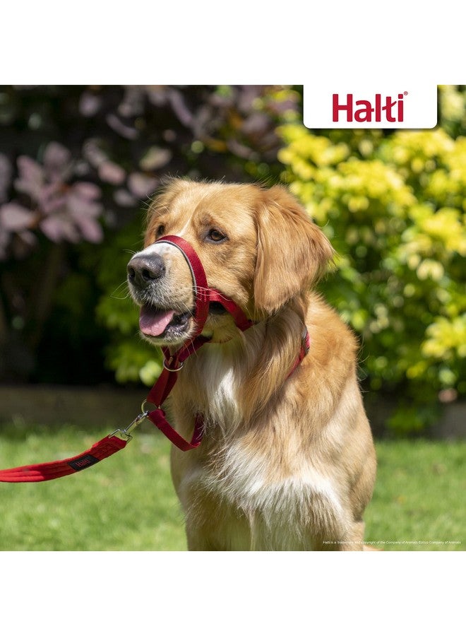 Company of Animals HALTI Headcollar - To Stop Your Dog Pulling on the Leash. Adjustable, Reflective and Lightweight, with Padded Nose Band. Dog Training Anti-Pull Collar for Medium Dogs (Size 3, Red) - Image 5