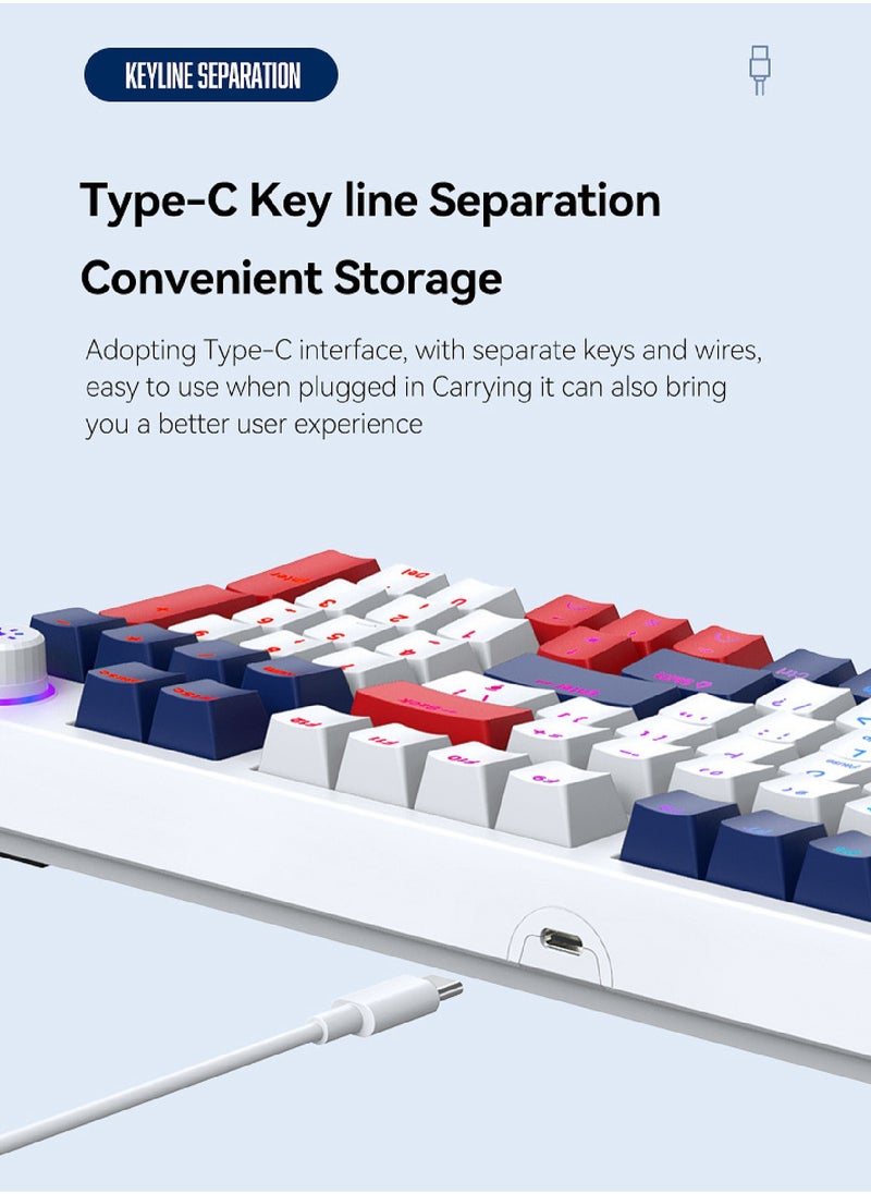 LEAVEN - 96-Key Mechanical Keyboard - Hot Swap - Blue Switch -  2.4GHz/Bluetooth/Type-C Wired - Gaming Keyboard - Office Keyboard - RGB Lighting Effect - Computer Keyboard - Image 1