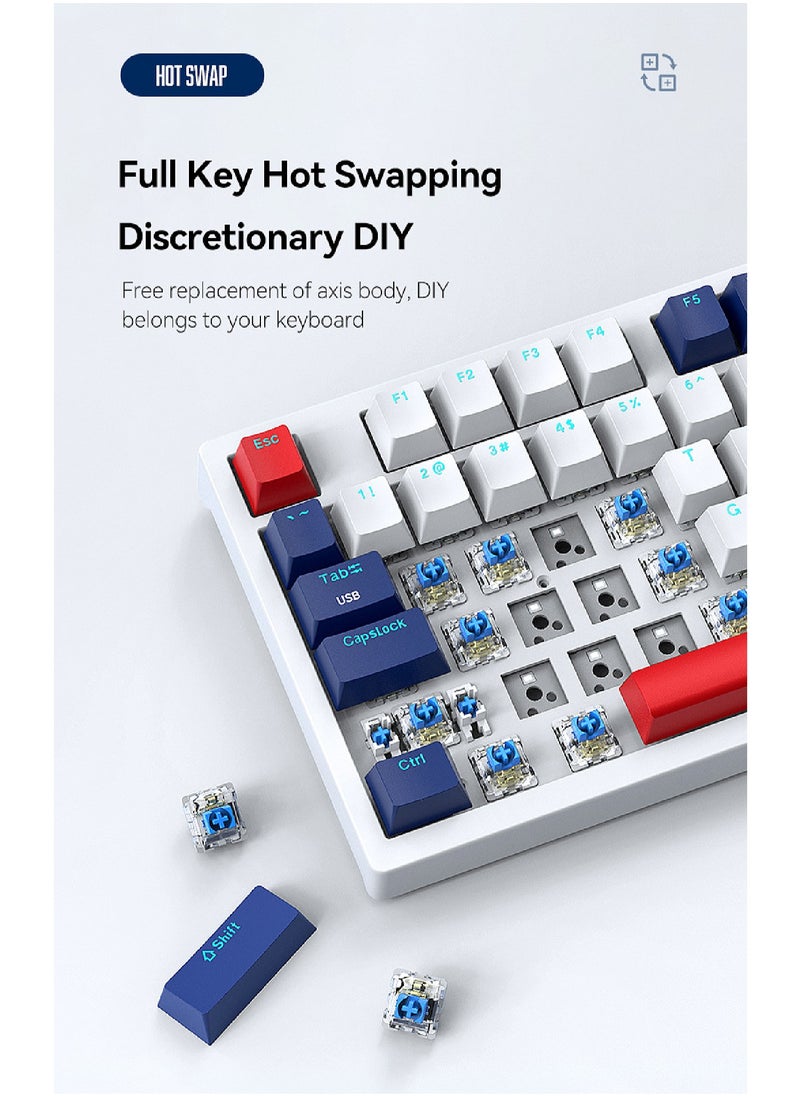 LEAVEN - 96-Key Mechanical Keyboard - Hot Swap - Blue Switch -  2.4GHz/Bluetooth/Type-C Wired - Gaming Keyboard - Office Keyboard - RGB Lighting Effect - Computer Keyboard - Image 1