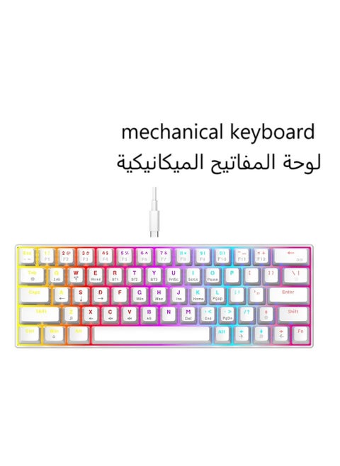 63 Keys Mechanical Gaming Keyboard ,75% Mini Wired Waterproof Backlit Silent Color RGB Light Effect ,Suitable for PC/Ps4/Xbox Gamers