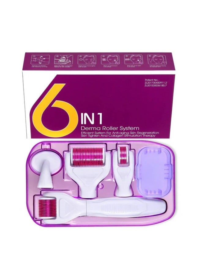 Derma roller system 6 in 1 Derma Roller System  - Image 1