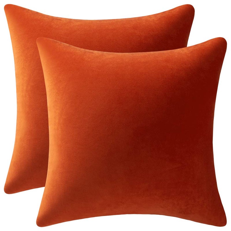DEZENE Fall Couch Pillow Cases 16x16 Burnt Orange 2 Pack Cozy Soft Velvet Square Throw Pillow Covers for Farmhouse Home Decor