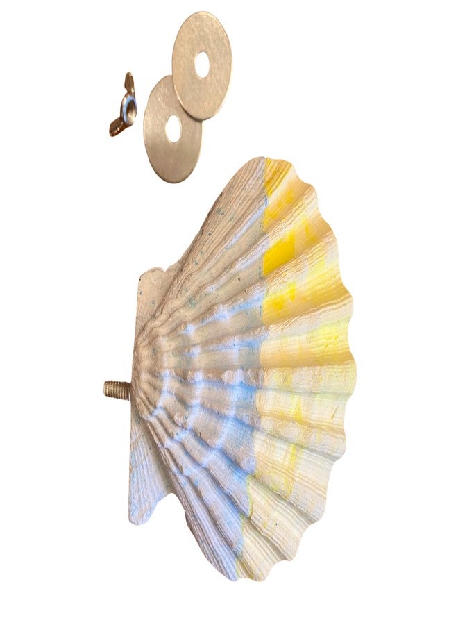 Polly's Comfy Clam Parrot Cage Flat Bird Perch for Macaws, Parakeets, Cockatiels, African Greys, Amazons and More (Blue/Yellow, Small) - Image 1