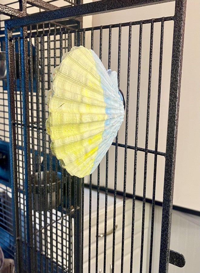Polly's Comfy Clam Parrot Cage Flat Bird Perch for Macaws, Parakeets, Cockatiels, African Greys, Amazons and More (Blue/Yellow, Small) - Image 5