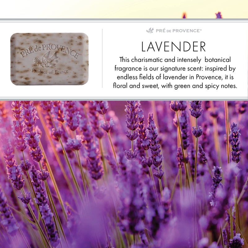 Pre de Provence Artisanal Soap Bar, Enriched with Organic Shea Butter, Natural French Skincare, Quad Milled for Rich Smooth Lather, Lavender, 8.8 Ounce - Image 5