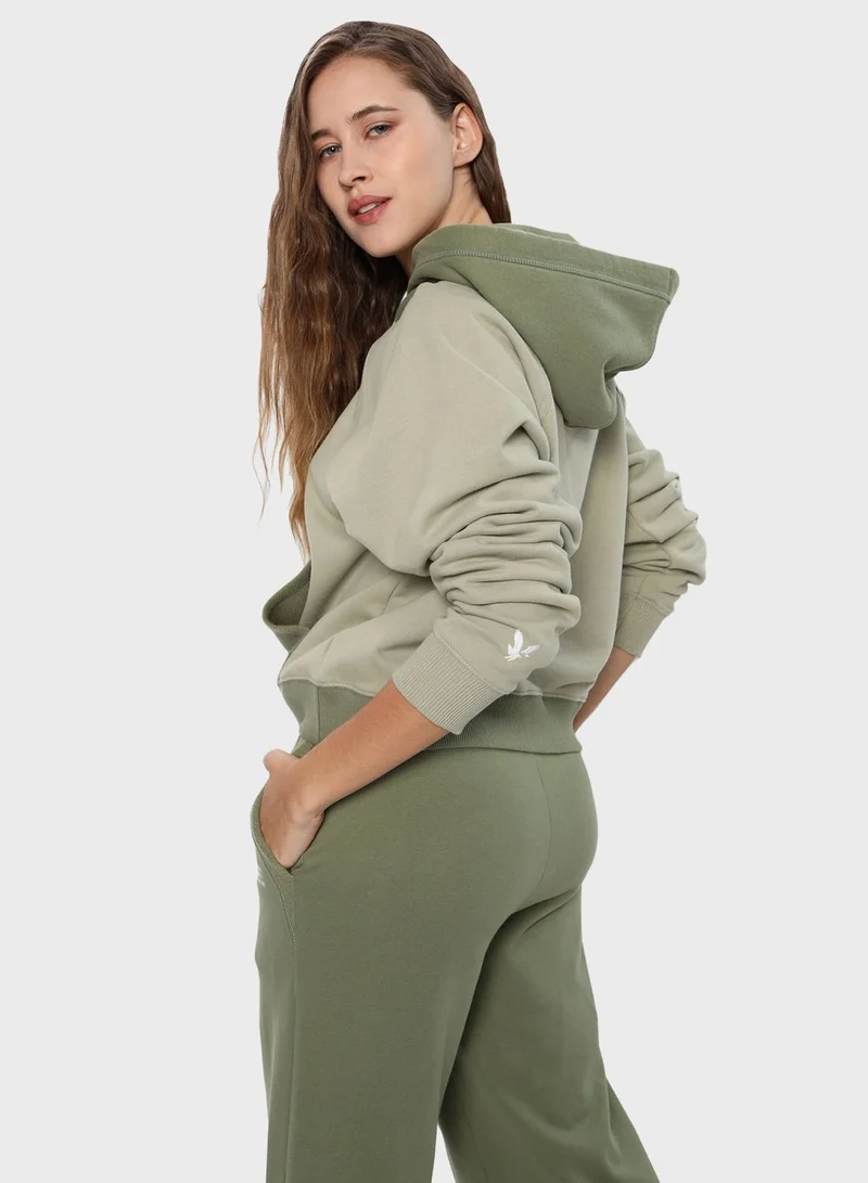 American Eagle Color Block Hoodie