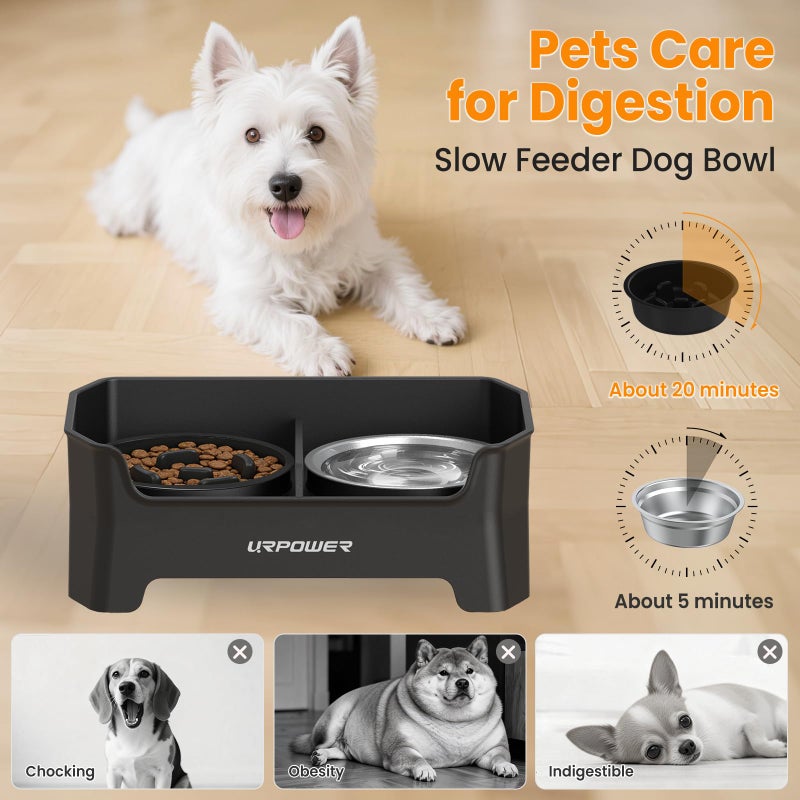 URPOWER 3-in-1 Elevated Dog Bowls - Mess Proof 4 Height Adjustable Raised Stand with 2 Stainless Steel Food Bowls for Small, Medium Dogs - Image 4