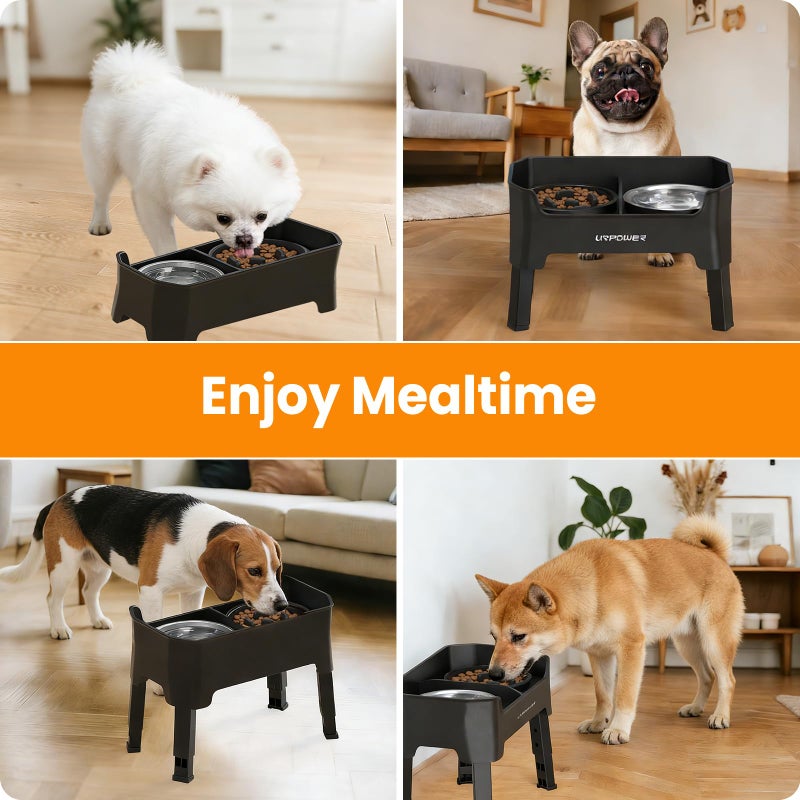 URPOWER 3-in-1 Elevated Dog Bowls - Mess Proof 4 Height Adjustable Raised Stand with 2 Stainless Steel Food Bowls for Small, Medium Dogs - Image 5