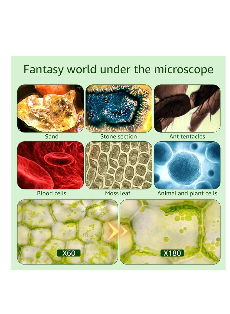 SOLARAE Portable Microscope for Kids, Handheld Miniscope for Kids, Mini Labsters Portable Microscope for Kids Ages 8-12, Pocket Microscope 60x-180x, for STEM Educational Toy, Scientific Experiment - Image 3