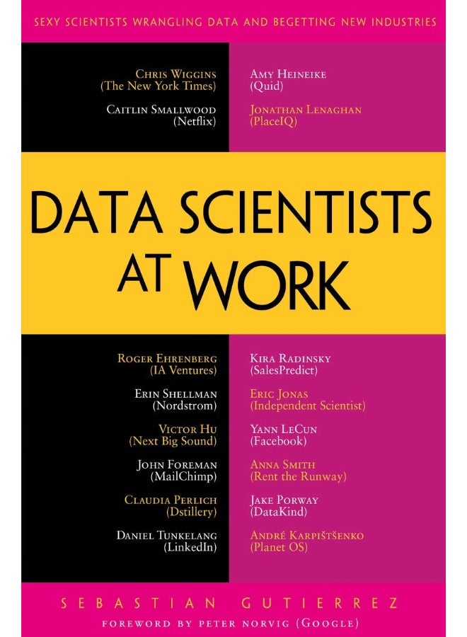 Data Scientists at Work