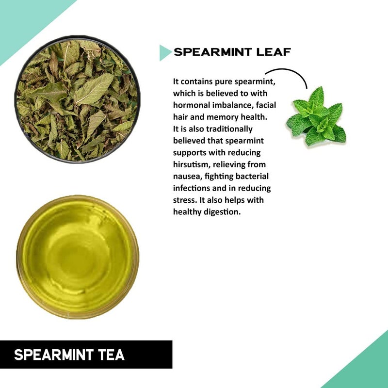 TEACURRY Spearmint Leaf Tea - 100 Gms Loose Tea | Helps with Hormonal Imbalance, Memory, and Facial Hair - Spearmint Tea - Image 2