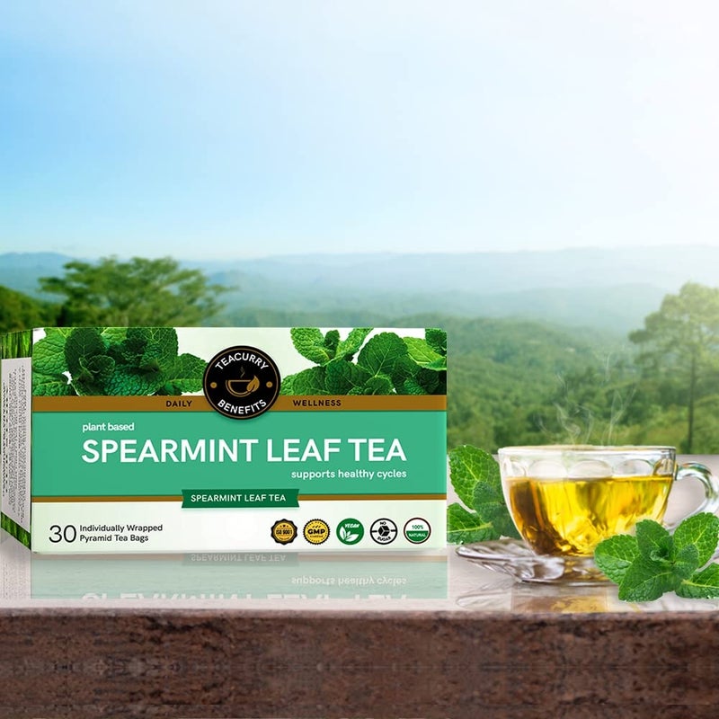 TEACURRY Spearmint Leaf Tea - 100 Gms Loose Tea | Helps with Hormonal Imbalance, Memory, and Facial Hair - Spearmint Tea - Image 4