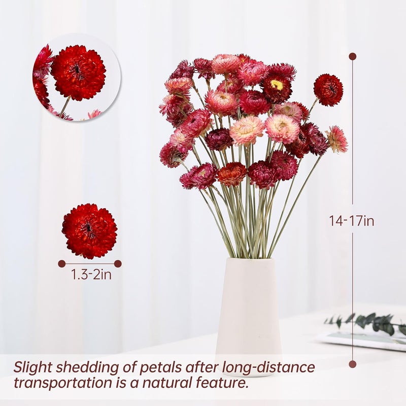 Jtoder Dried Flowers Bouquet Natural Daisy - 40 PCS Daisies Dried Sunflowers, Dry Flower Arrangements for Wedding, Farmhouse Table Vase Decor, Home Office Party Decoration (Rose Red) - Image 3