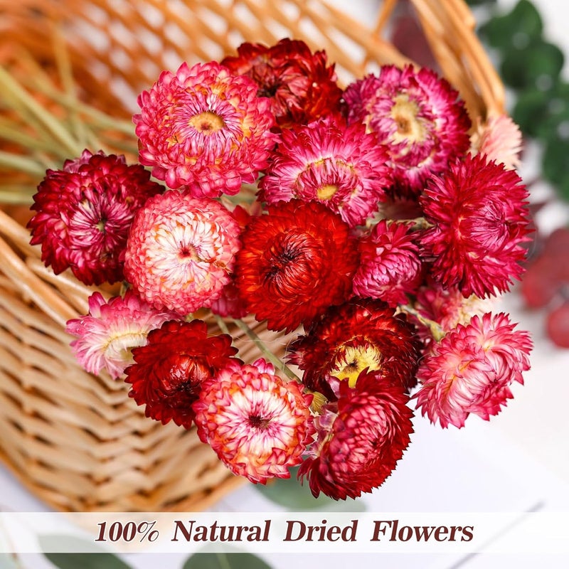 Jtoder Dried Flowers Bouquet Natural Daisy - 40 PCS Daisies Dried Sunflowers, Dry Flower Arrangements for Wedding, Farmhouse Table Vase Decor, Home Office Party Decoration (Rose Red) - Image 2
