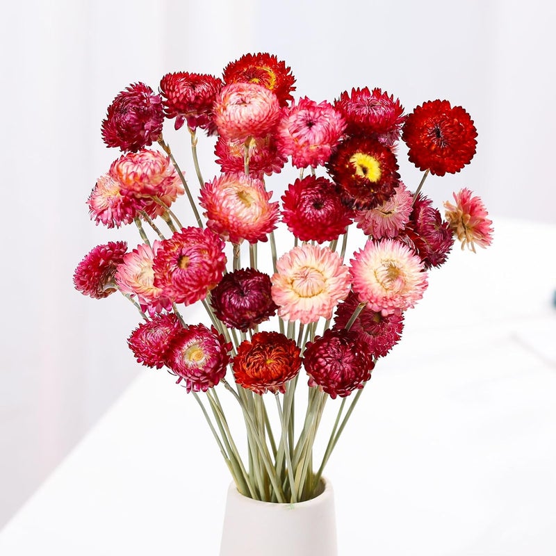 Jtoder Dried Flowers Bouquet Natural Daisy - 40 PCS Daisies Dried Sunflowers, Dry Flower Arrangements for Wedding, Farmhouse Table Vase Decor, Home Office Party Decoration (Rose Red) - Image 1