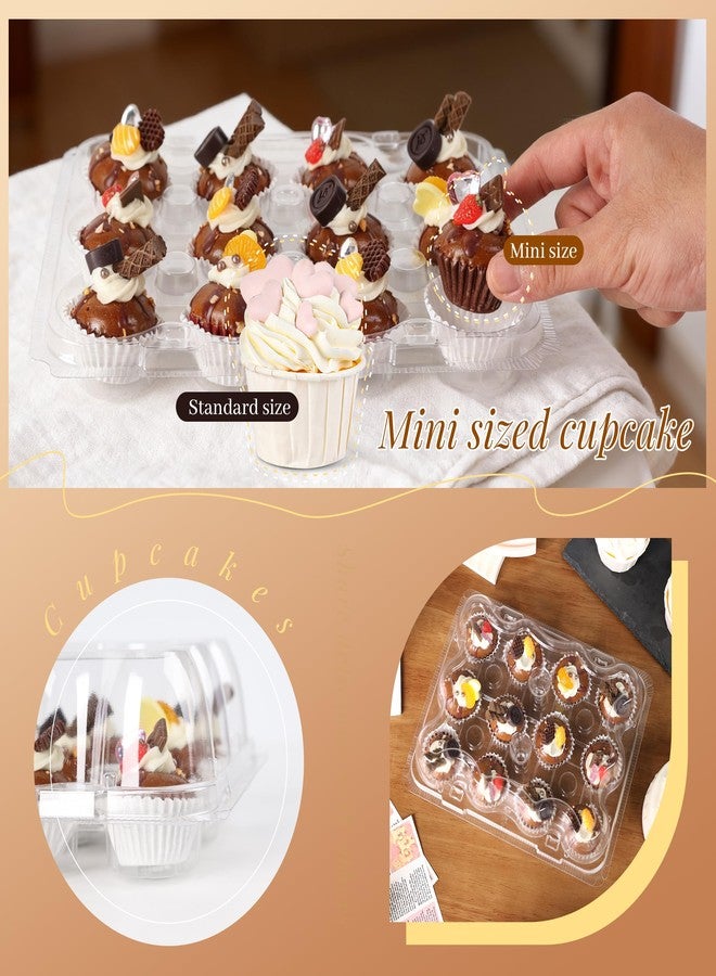 LOKQING 12 Count Mini Cupcake Containers 20 Sets with 240 Pack Cupcakes Liners, Plastic Cupcake Holder, Stackable Mini Cupcake Boxes Carrier, Clear Disposable Cupcake Trays, High Dome - Image 2