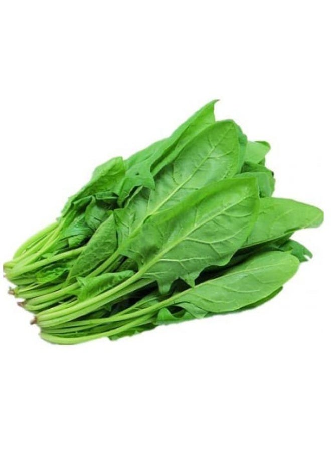Kibsons Spinach (Palak), 100g, UAE - Image 1