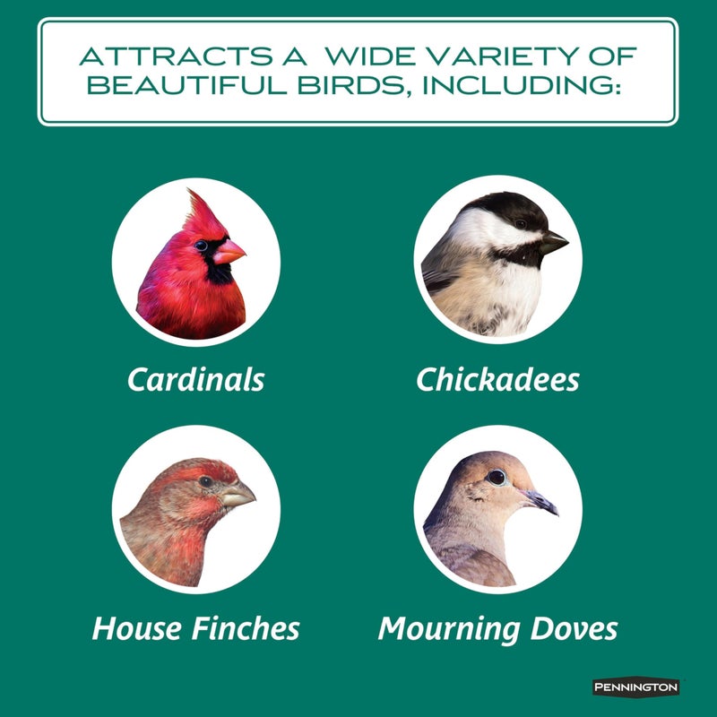 Pennington Select Safflower Seed 15 lb Bag - Image 4