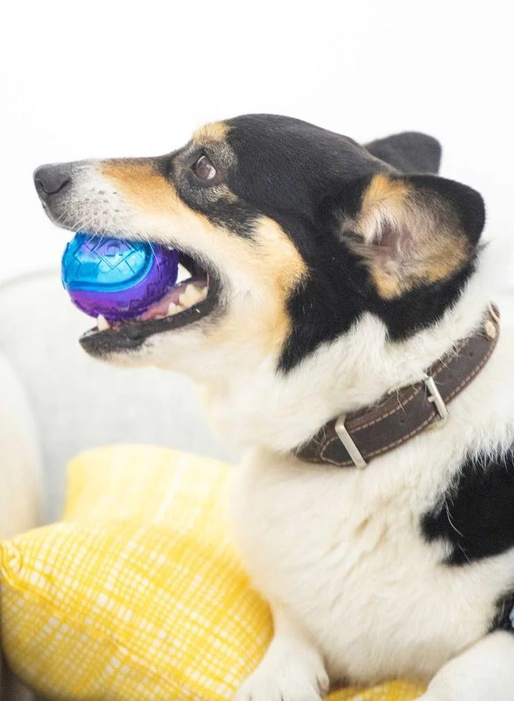 GIGWI G Ball Ball Squeaker Transparent Blue And Purple Dog Squeak Toy Medium - Image 4