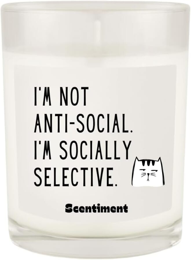 Scentiment Scented Candle – Premium Soy Coconut Beeswax Blend | Hand-Poured Jar Candle with Long Burn Time | Gift for Home, Bedroom & Living Room (I’m Not Anti-Social)