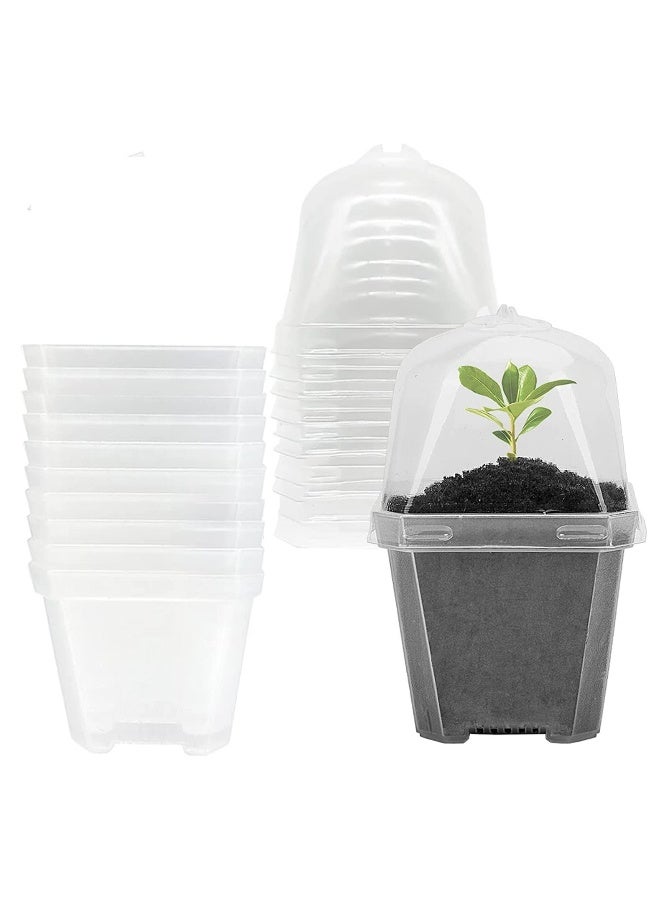 10 قطع أواني صغيرة لزراعة النباتات مع قبة الرطوبة - وعاء زراعة بلاستيكي - حاوية للبذور مع فتحات تصريف للبذور / الخضروات / العصاريات / القصاصات - Image 1