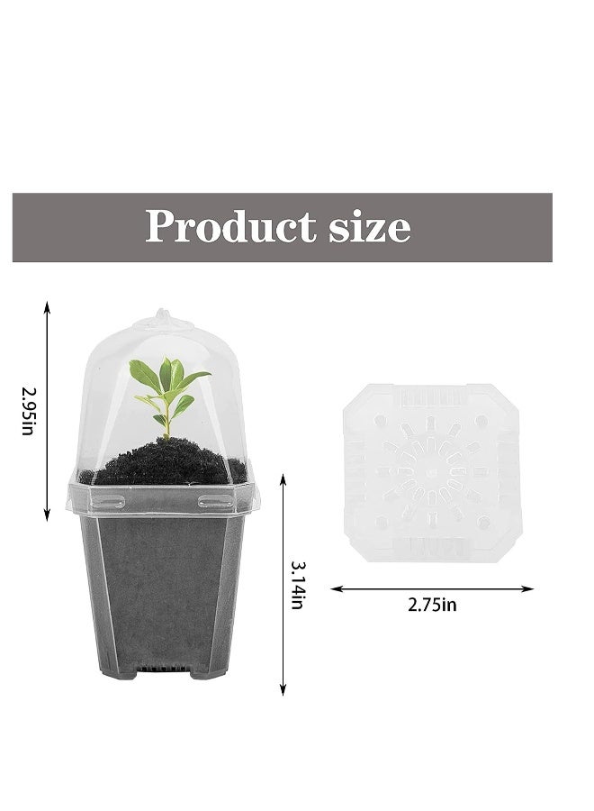 10 قطع أواني صغيرة لزراعة النباتات مع قبة الرطوبة - وعاء زراعة بلاستيكي - حاوية للبذور مع فتحات تصريف للبذور / الخضروات / العصاريات / القصاصات - Image 2